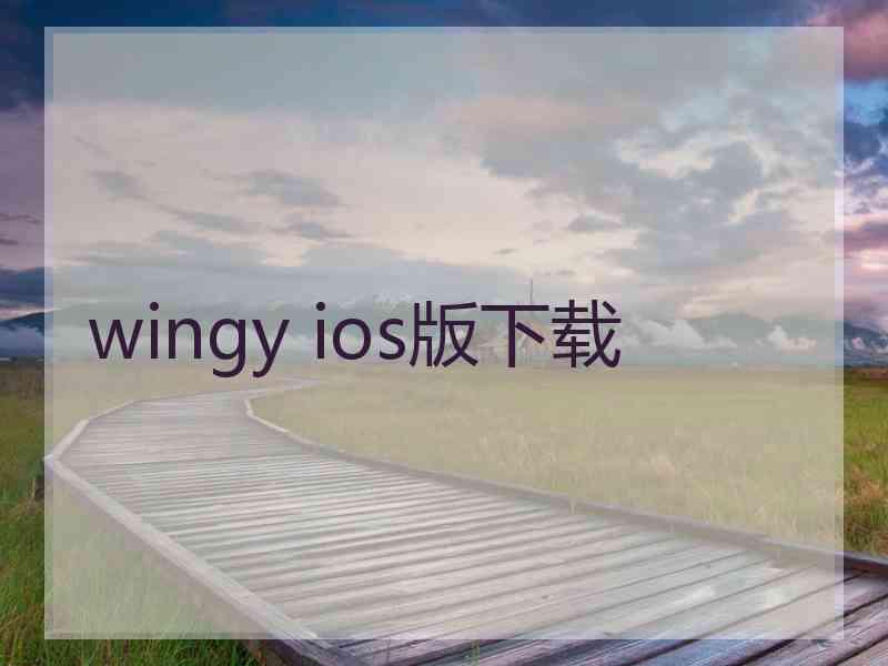 wingy ios版下载