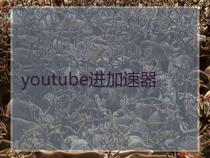 youtube进加速器