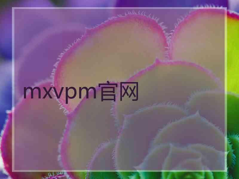 mxvpm官网