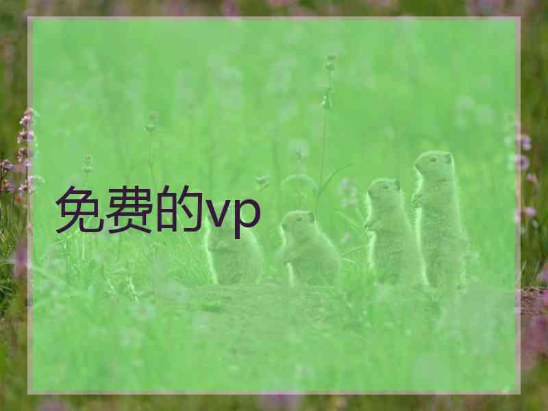 免费的vp