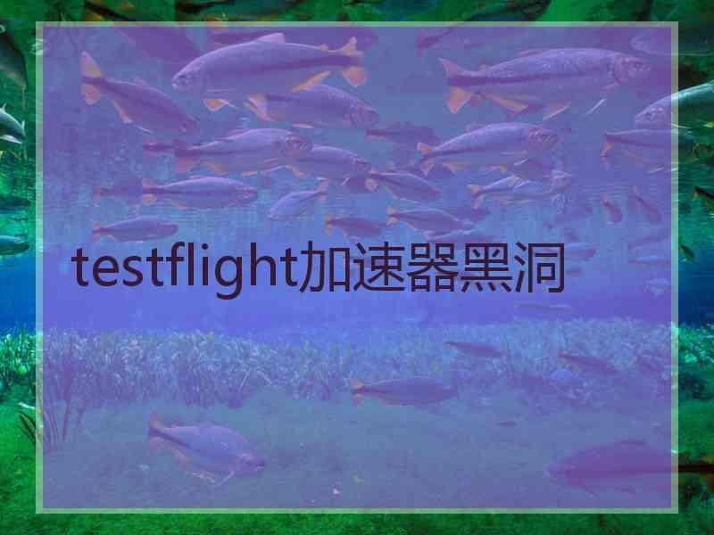 testflight加速器黑洞