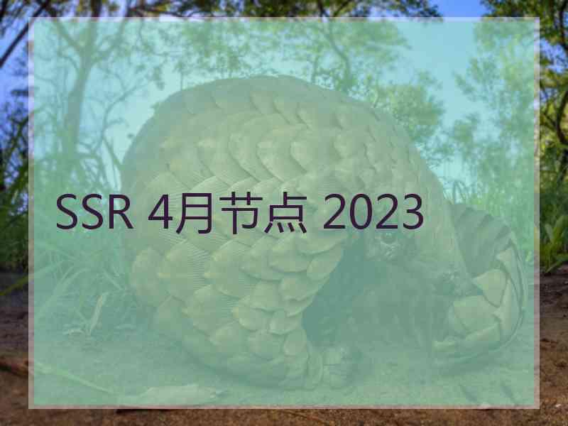 SSR 4月节点 2023