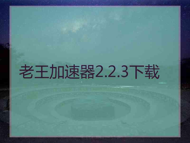 老王加速器2.2.3下载