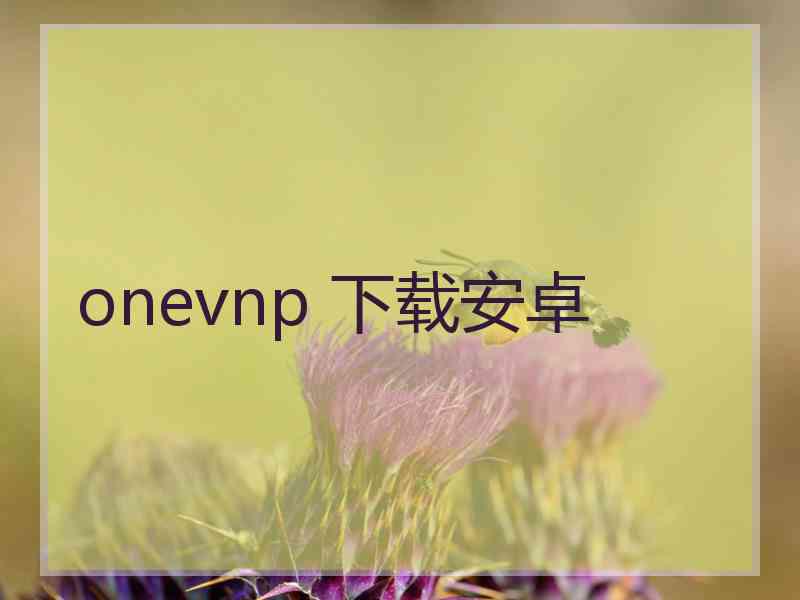 onevnp 下载安卓