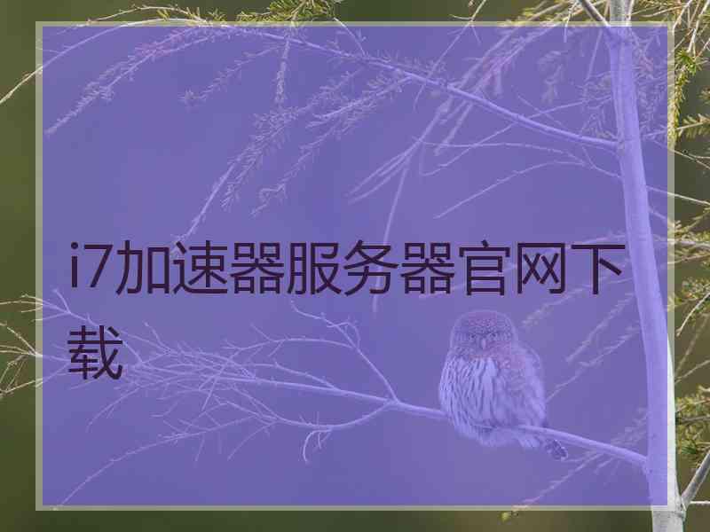 i7加速器服务器官网下载