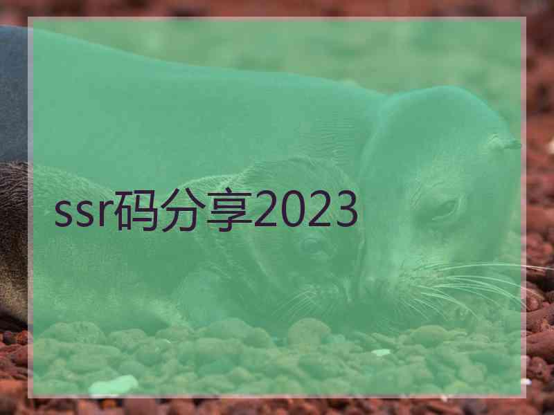 ssr码分享2023