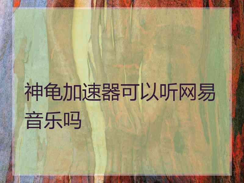 神龟加速器可以听网易音乐吗