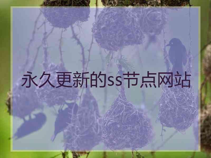 永久更新的ss节点网站