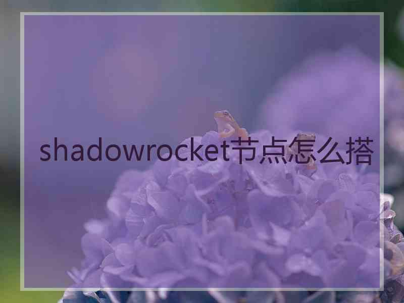 shadowrocket节点怎么搭