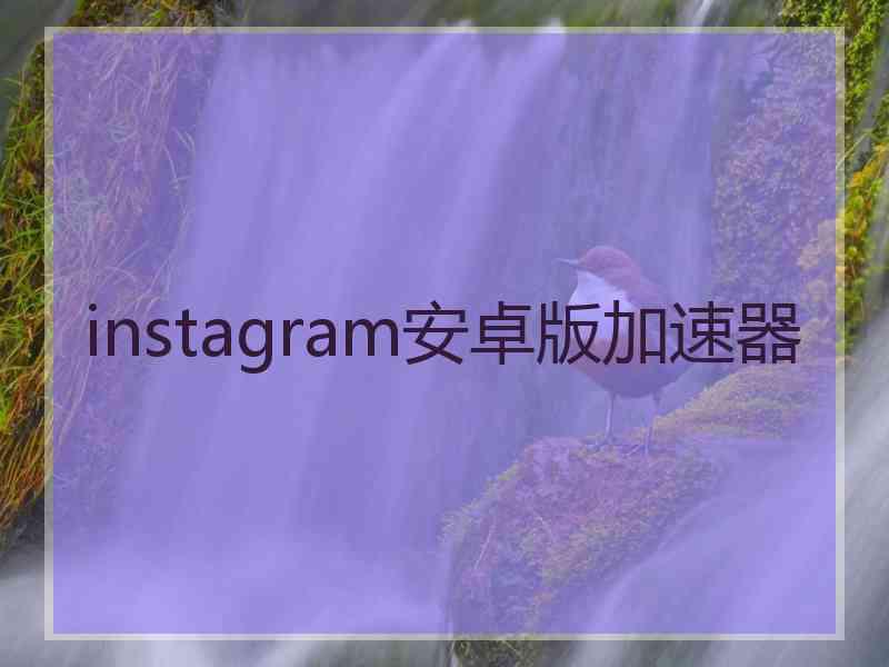 instagram安卓版加速器