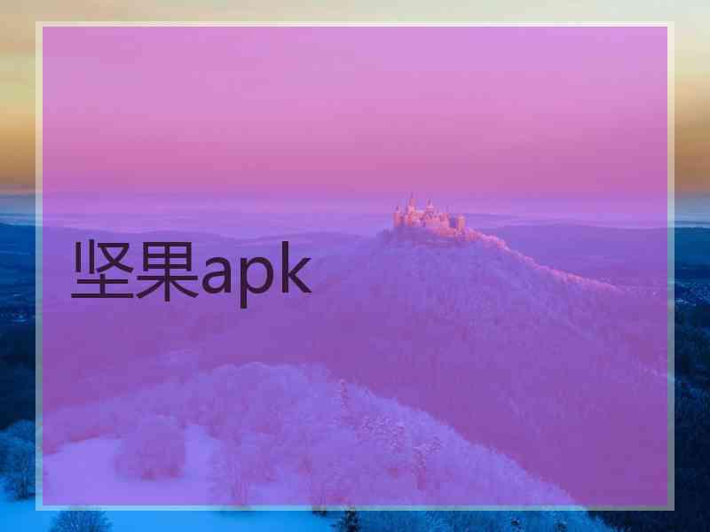 坚果apk