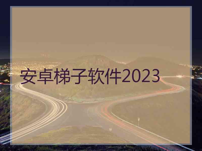 安卓梯子软件2023