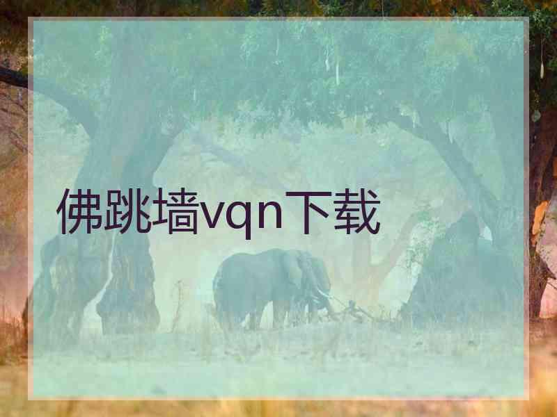 佛跳墙vqn下载