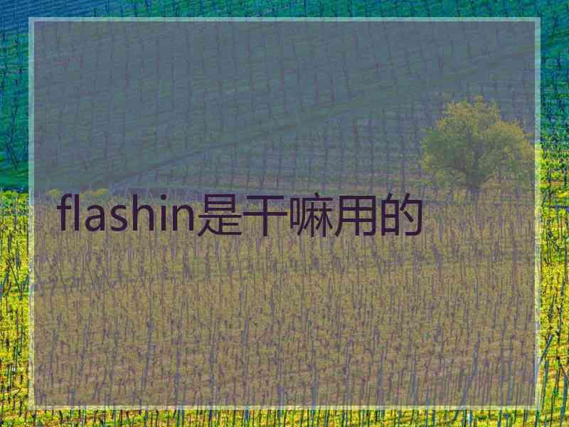 flashin是干嘛用的